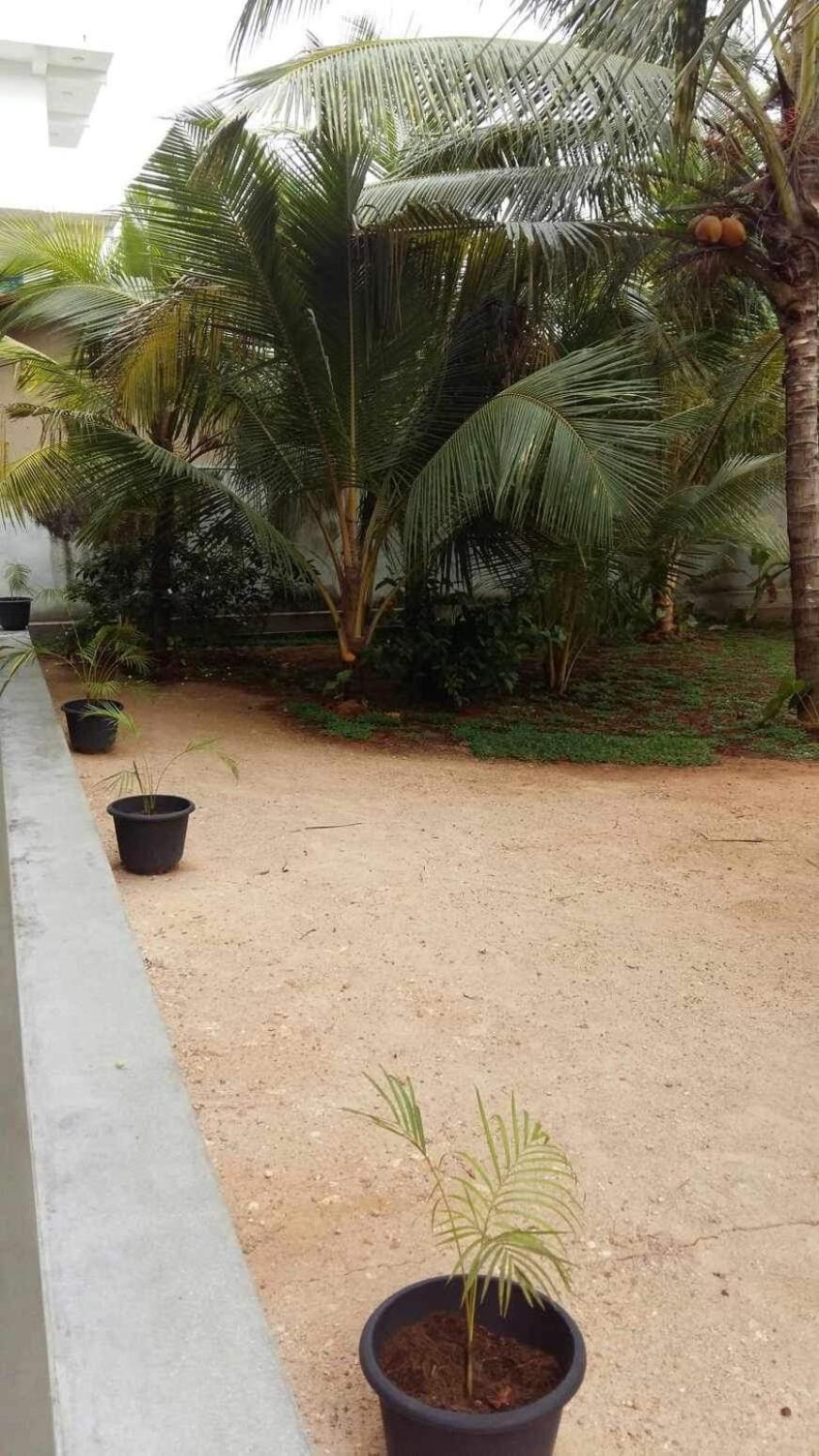 New Ocean Breeze Madiha Hotel Matara Luaran gambar