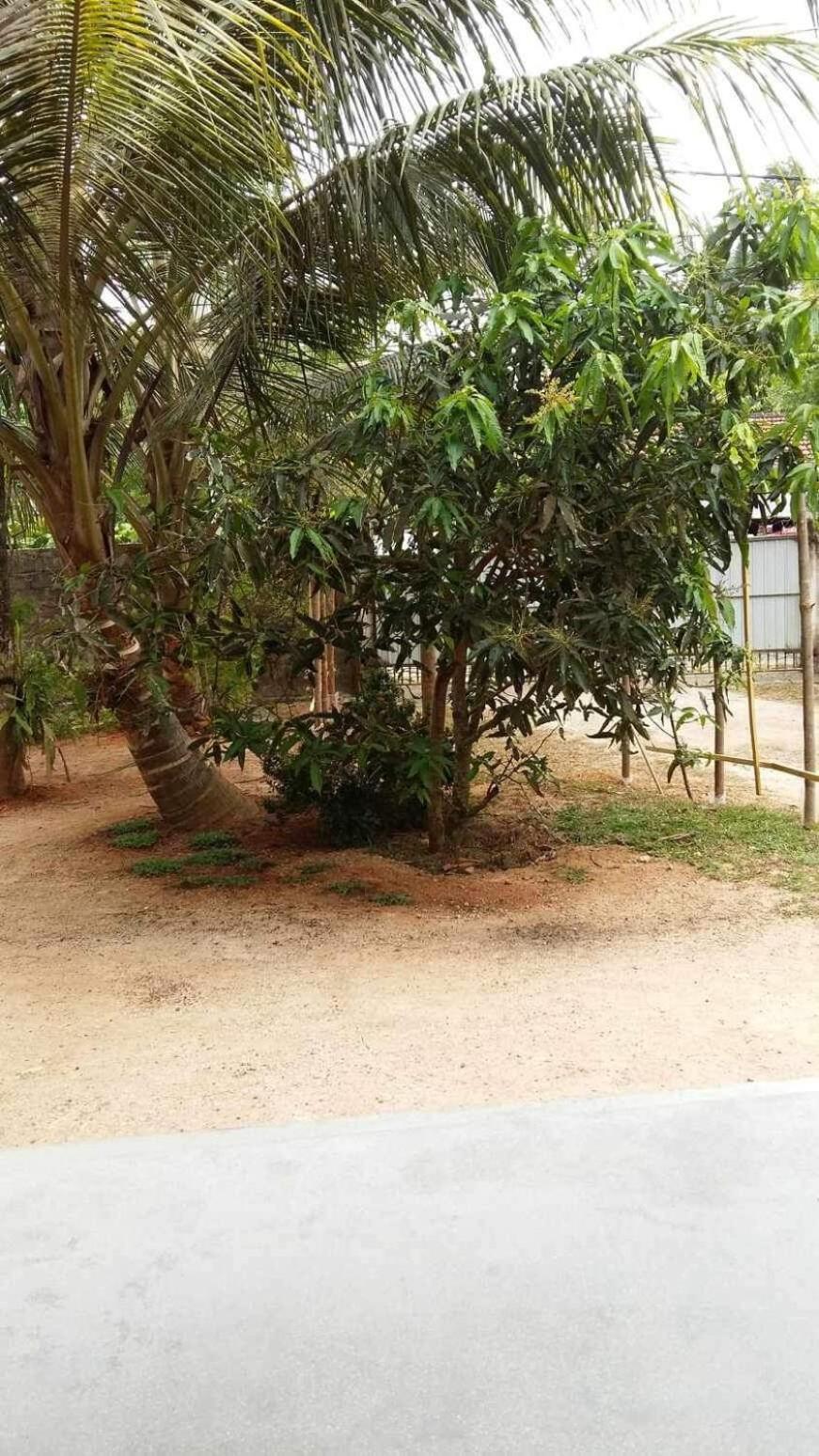 New Ocean Breeze Madiha Hotel Matara Luaran gambar